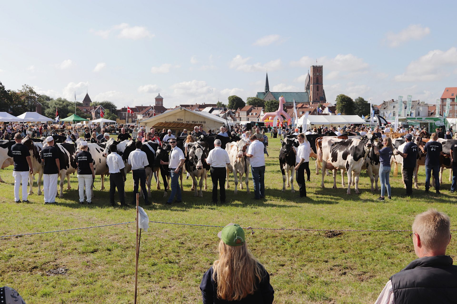 Ribe Dyrskue: Udsolgt og klar til jubilæum