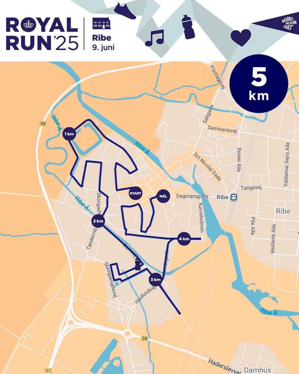 Royal Run i Ribe: Et kæmpestort puslespil bag de perfekte ruter